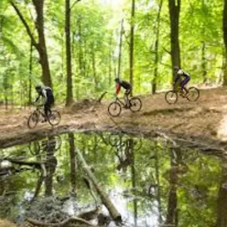 Beautiful In With Private Heated Pool Drunen