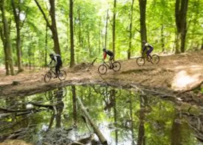 Beautiful In With Private Heated Pool Drunen